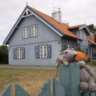 zdjęcie
