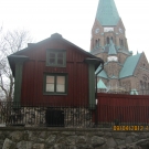 zdjęcie