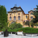 zdjęcie