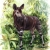natropieokapi